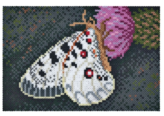 hama3605_20220324123742n