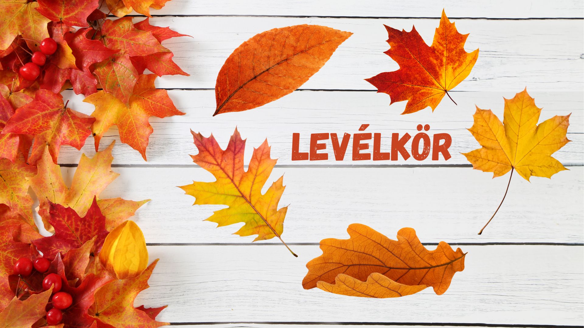 osz az ovodaban 1 levelkor