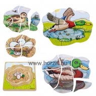 Ősz-Részletfigyelő puzzle - GOULA - 24 hó+