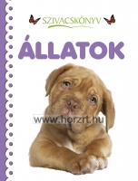 Hangoskönyv cimborák - Boldog születésnapot! - hangoskönyv