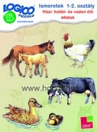 Lebegő labda légzéstechnika fejlesztő játék