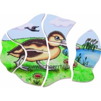 A kacsa megismerése - Fejlődés Puzzle