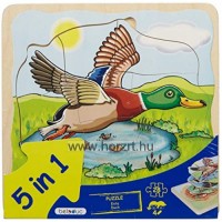 A kacsa megismerése - Fejlődés Puzzle