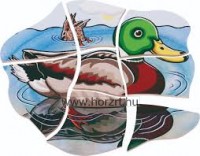 A kacsa megismerése - Fejlődés Puzzle