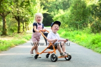 Top Trike Buggy