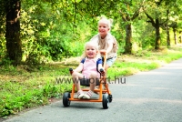 Top Trike Buggy