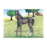 Kocka puzzle, farm