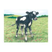 Kocka puzzle, farm