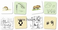 Képes kártyák - Erdei állatok