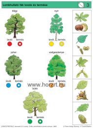 Logico Piccolo - Erdők, szántóföldek és a kertek növényei
